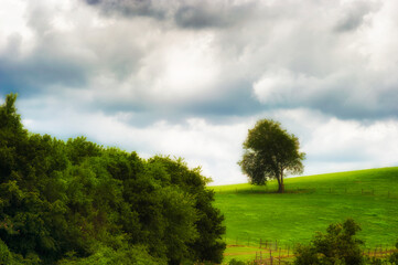 Scenic Landscape View along the Tennesse River