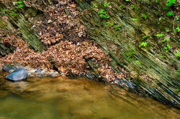 Naklejka na ściany i meble Shale Rock along a creek with dried leaves