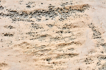 Textured stone, sandstone, limestone surface. Close image. Stone, natural abstract texture for backgrounds. Close up. , architecture.
