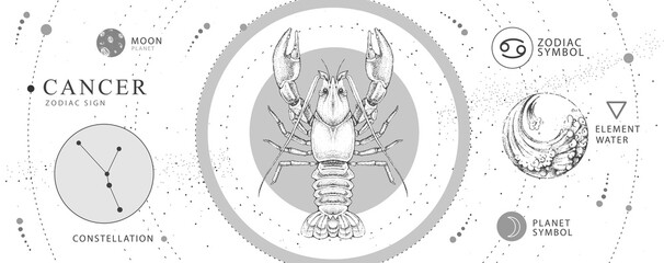 Modern magic witchcraft card with astrology Cancer zodiac sign. Realistic hand drawing crab illustration. Zodiac characteristic © annbozhko
