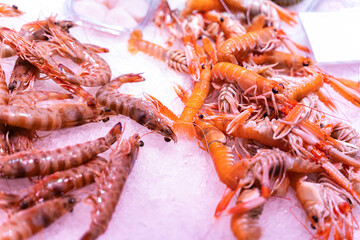 Different sorts of fish, crayfishes, crabs, molluscs, arthropods at fish market