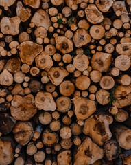 Stacked logs in a lumberyard
