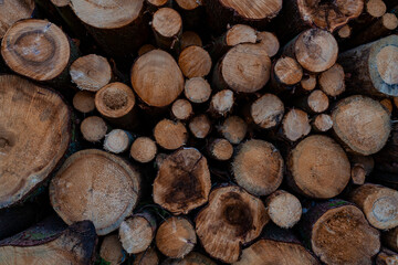 Stacked logs in a lumberyard