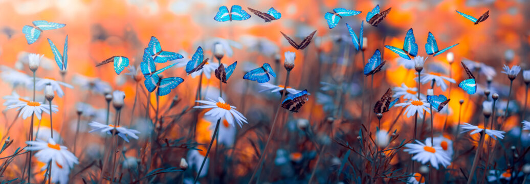 Spring natural landscape with wild flowers on meadow and fluttering butterflies on blue sky background. Dreamy soft air artistic image. Soft focus, author processing.