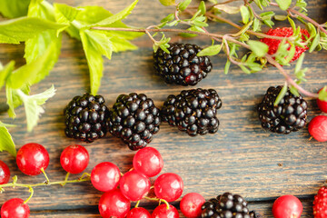 Assorted fresh summer berries. Raspberries, gooseberries, blackberries, currants, wild strawberries, strawberries.