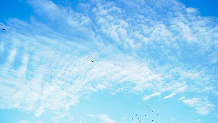 Obraz premium Blue sky with cloud at Phuket Thailand