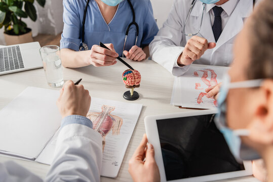 Nurse pointing with pen at brain anatomical model near multiethnic colleagues at workplace with pictures and devices on blurred foreground