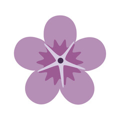 Purple Flower, Violet Flower, Lavender Flower, Floral Icon, Flower Icon Symbol Vector Illustration Background
