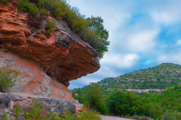 naturaleza