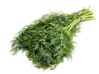 Bunch of fresh green dill isolated on white