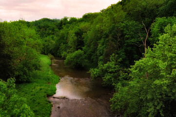 Fototapeta na wymiar Flowing water in rural Virginia