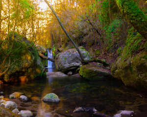 naturaleza