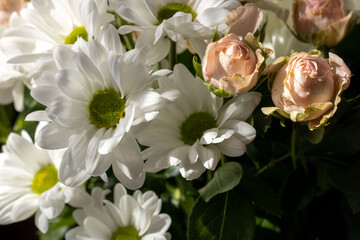 Bouquet of flowers. Flower. Roses and daisies. Petals. Close-up