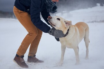 Young man in warm clothing stroking dog on snowy field