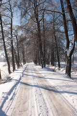 landscape with snow