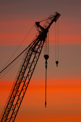 Gr&uacute;as en puesta de sol