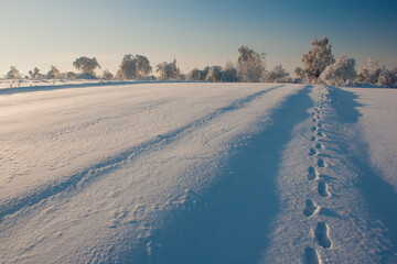 landscape with snow