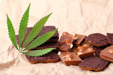 Pieces of chocolate with cannabis CBD nuts with dry green hemp leaf. Hemp biscuits covered with chocolate glaze. Marijuana sweet food concept