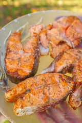 Grilled red fish trout steaks lie on a glass plate