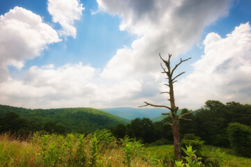 Obraz premium Shenandoah National Park Views along skyline Drive