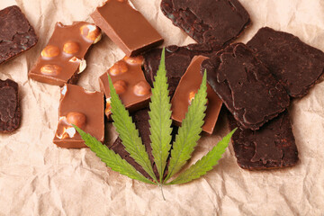 Organic Marijuana Pieces of Chocolate with CBD cannabis nuts and dry green hemp leaves. Chocolate coated hemp biscuits. Marijuana sweet food concept