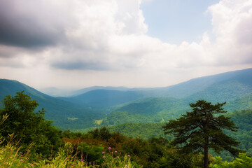 Shenandoah National Park Views along skyline Drive