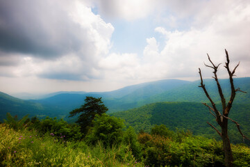 Shenandoah National Park Views along skyline Drive