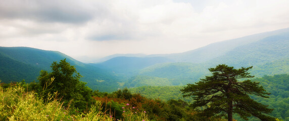 Shenandoah National Park Views along skyline Drive