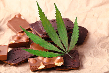 Hemp Chocolate Chip Cookies with THC and CBD. Organic Marijuana Chocolate Chunks with Nuts and CBD Cannabis Supplement and Green Hemp Leaves