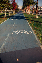 bicycle lane in the park