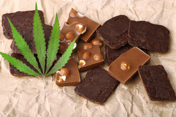 Pieces of delicious chocolate and cookies on the background of wrapping paper with a green hemp leaf. Cannabis Leaf Vegan Chocolate with CBD Supplement and Green Marijuana Leaves
