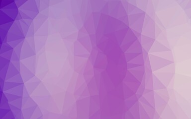 Light Purple vector low poly layout.