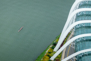 rowing team from above