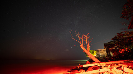 Corcega Beach and Milky Way