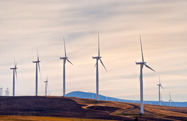 Wind Turbines in The Columbia River Gorge