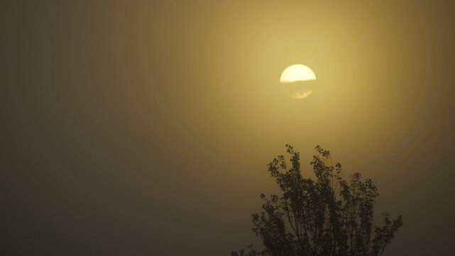 niebla soleada