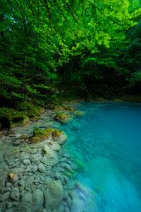 Nacedero del Urederra, Urbasa Andia Natural Park, Navarra, Spain, Europe
