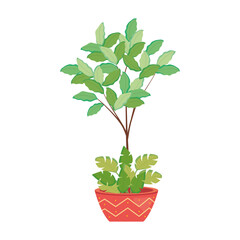plant inside pot vector design