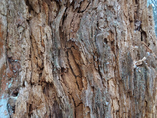 old wooden colorful texture