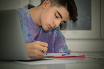 student at home with computer studying and writing