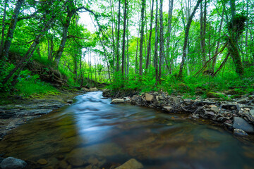 Bayas river, Gorbeia Natural Park, Alava, Basque Country, Spain, Europe
