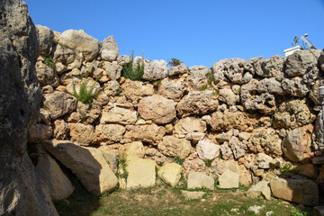 Fototapeta na wymiar Ġgantija - megalithic temple complex from the Neolithic on island of Gozo in Malta