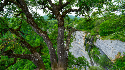 Gujuli waterfall, Gorbeia Natural Park, Alava, Basque Country, Spain, Europe