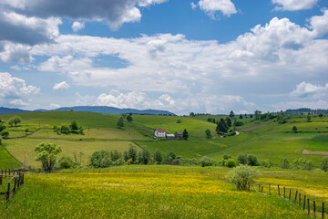 Obraz premium landscape with green field and blue sky