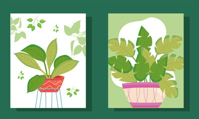 plants inside pots in frames vector design