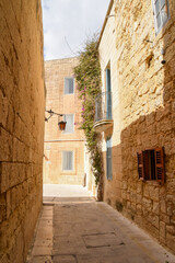 Fototapeta na wymiar Typical small alley in Mdina, Malta