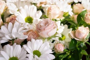 Bouquet of flowers. Flower. Roses and daisies. Petals. Close-up