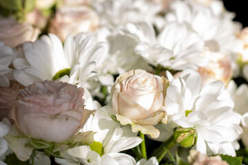 Obraz na płótnie Canvas Bouquet of flowers. Flower. Roses and daisies. Petals. Close-up