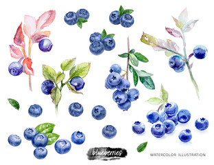 Blueberries set watercolor illustration isolated on white background - obrazy, fototapety, plakaty