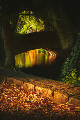 entre luces y colores, magia y fantasía, esta fotografía nos muestra un rincón del planeta que nos cuenta una historia de cuento. © Felipe